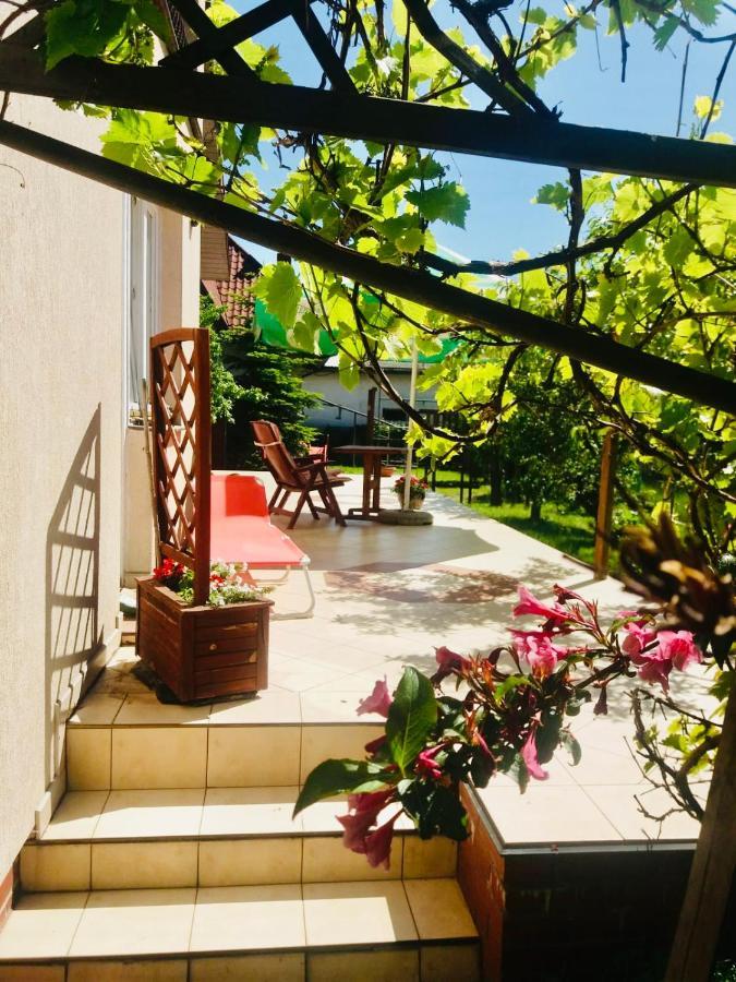 Domowe Zalesie Apartment Piaseczno  Luaran gambar