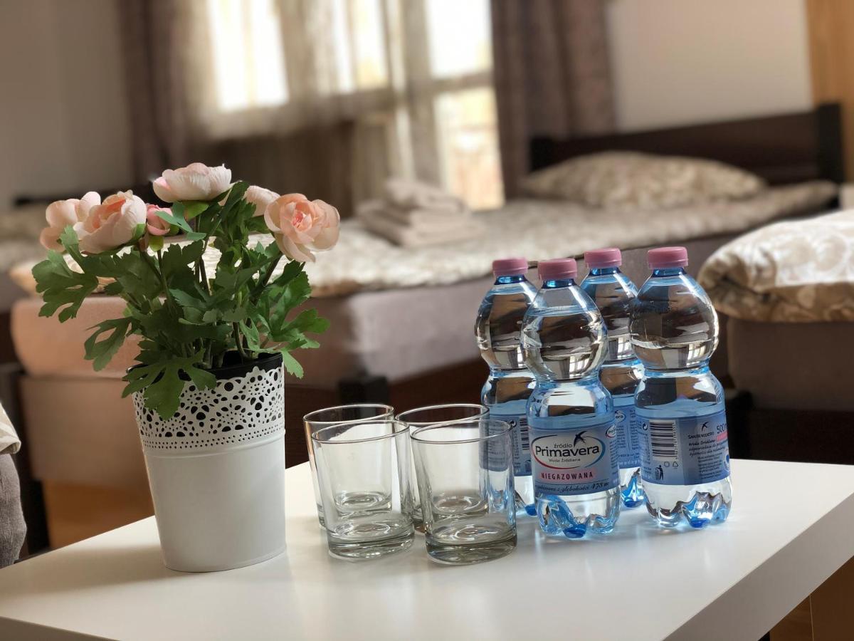 Domowe Zalesie Apartment Piaseczno  Luaran gambar